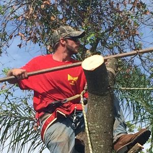 Meet your Posher, Wesley